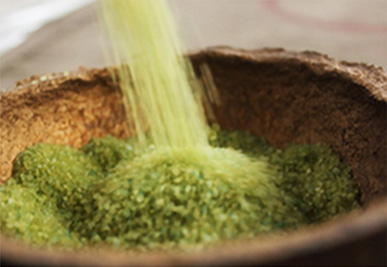 maccha