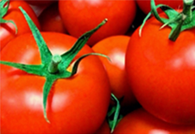 tomato