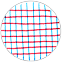 check lightblue x red