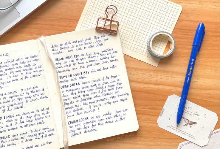 Metode Belajar Dengan Ballpen Biru